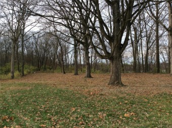 Highland Silver Lake Lot For Sale in Highland Illinois
