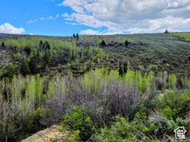 Lake Acreage For Sale in Paris, Idaho