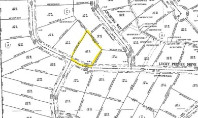 (private lake, pond, creek) Lot For Sale in Granbury Texas