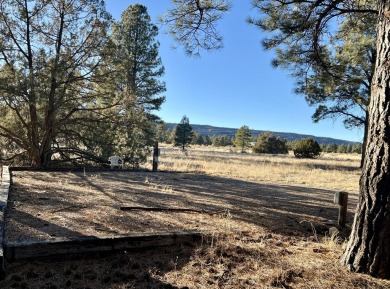 Ramah Reservoir Acreage Sale Pending in Ramah New Mexico