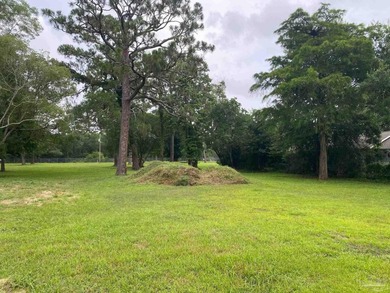 Vacant lot ready for your vision! One of six vacant lots - photo 2