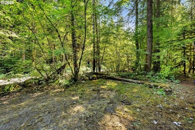 The North Woods are calling! If you love the outdoors or are - photo 8