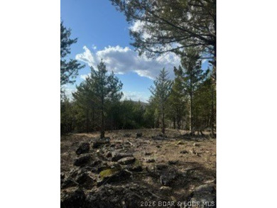 Lake of the Ozarks Acreage For Sale in Roach Missouri