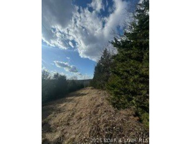 Private acreage with deeded lake access ready for your vacation - photo 4