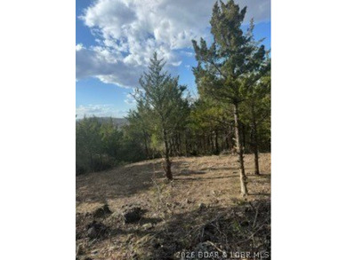Private acreage with deeded lake access ready for your vacation - photo 10