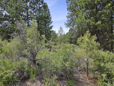 Williamson River Lot For Sale in Chiloquin Oregon