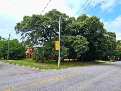 This parcel of land on Palafox in North Hill is an absolute gem - photo 3