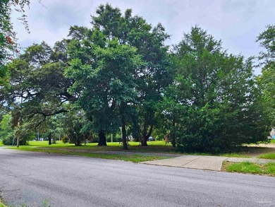This parcel of land on Palafox in North Hill is an absolute gem - photo 5