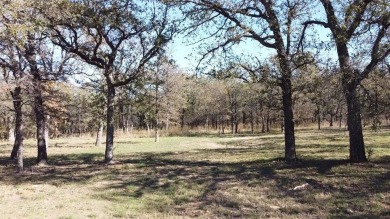 Lake Lot For Sale in Runaway Bay, Texas