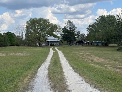 Lake Acreage For Sale in Martin, South Carolina