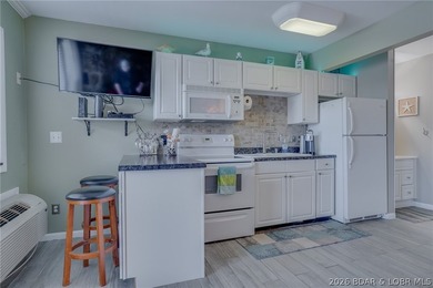 Beautifully updated 1 bed / 1 bath unit at Wheelhouse Condos - photo 3