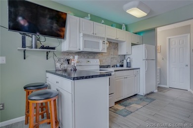 Beautifully updated 1 bed / 1 bath unit at Wheelhouse Condos - photo 4