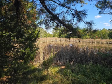 (private lake, pond, creek) Acreage For Sale in Antlers Oklahoma