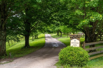 Lake Home For Sale in Simpsonville, Kentucky