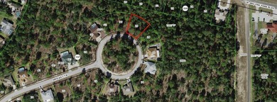 Build a brand new home this oversized .28 acre cul de sac home - photo 1