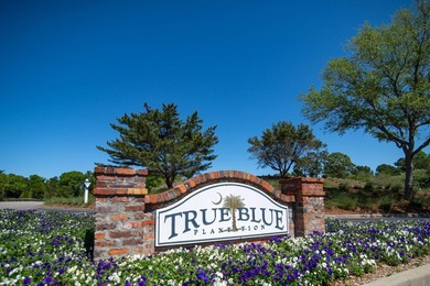 Welcome to True Blue 29E, a beautifully positioned 3-bedroom - photo 30