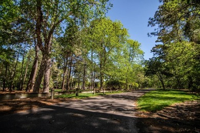 Welcome to True Blue 29E, a beautifully positioned 3-bedroom - photo 35