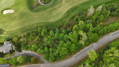 Nestled along the fairways of Waterfall at Lake Burton, this - photo 6
