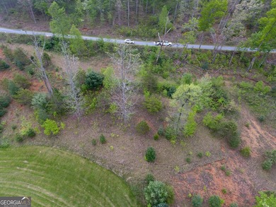 Nestled along the fairways of Waterfall at Lake Burton, this - photo 8