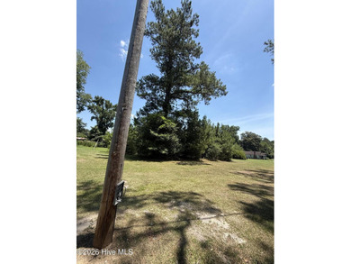 Great opportunity to own a large residential homesite in the - photo 3