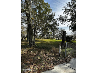 Beautiful vacant corner lot, can be yours to build. Motivated - photo 12