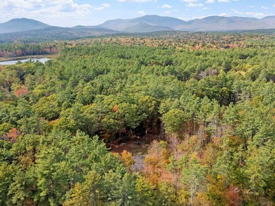 Discover the perfect blend of tranquility, accessibility, and - photo 15