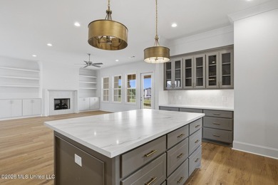 Welcome to this stunning new construction Acadian-style home in - photo 18