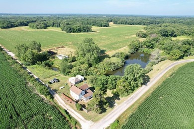 (private lake, pond, creek) Home For Sale in Niota Illinois