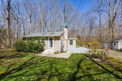 Grab your bathing suit and move right in! Everything is here -- - Lake Home Sale Pending in Lebanon, Connecticut