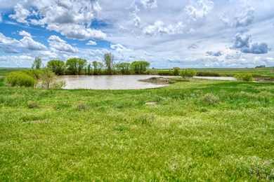 (private lake, pond, creek) Acreage For Sale in Eaton Colorado