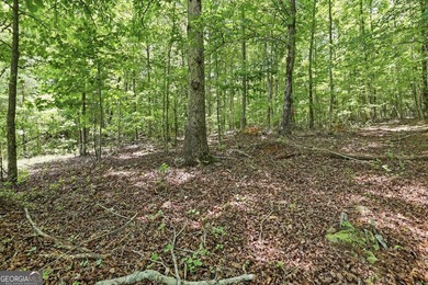 Escape to the beauty of the North Georgia Mountains with this - photo 3