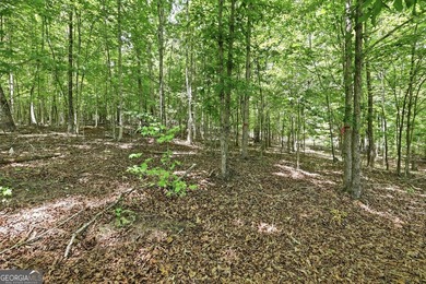 Escape to the beauty of the North Georgia Mountains with this - photo 4