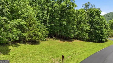 Escape to the beauty of the North Georgia Mountains with this - photo 10
