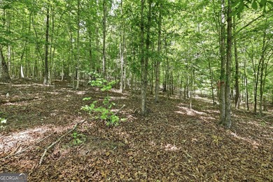 Discover the perfect opportunity to build your dream home on - photo 2