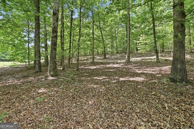 Discover the perfect opportunity to build your dream home on - photo 3