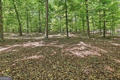 Discover the perfect opportunity to build your dream home on - photo 4