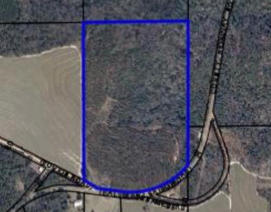 (private lake, pond, creek) Lot For Sale in Red Level Alabama