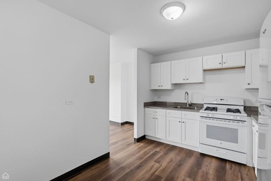 Welcome home to an abundance of natural light in this renovated - photo 11
