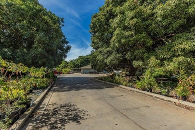 ALSO LISTED AS VACANT LAND, MLS# 408360. 1746 South Kihei Road - photo 11