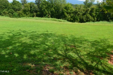 Nolichucky River Lot For Sale in Greeneville Tennessee