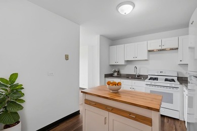 Welcome home to an abundance of natural light in this renovated - photo 12