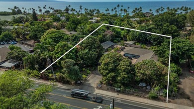 ALSO LISTED AS VACANT LAND, MLS# 408360. 1746 South Kihei Road - photo 14
