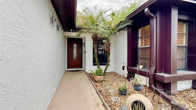 NO HOA! Lovely home located in Buenaventura Lakes. 4 bedrooms - photo 38