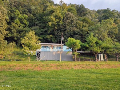 Lake Home For Sale in Eidson, Tennessee