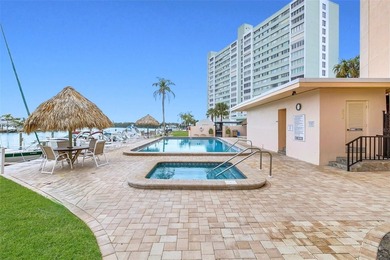 BEST DEAL IN CLEARWATER BEACH - INCREDIBLE WATER VIEWS!  Welcome - photo 43