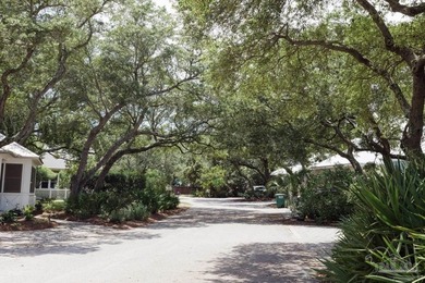 Nestled in the charming Driftwood community of Gulf Breeze - photo 7