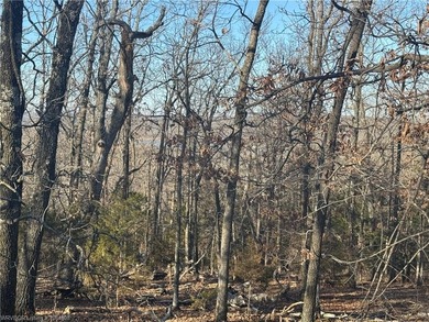 Lake Tenkiller Acreage For Sale in Park Hill Oklahoma