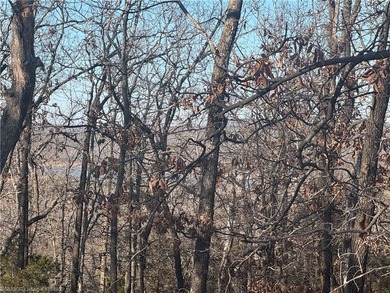 22 Acres +/- - Looking for a peaceful place to build your dream - photo 2
