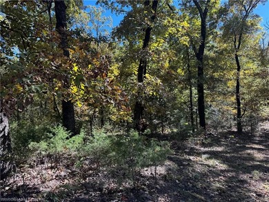 22 Acres +/- - Looking for a peaceful place to build your dream - photo 3