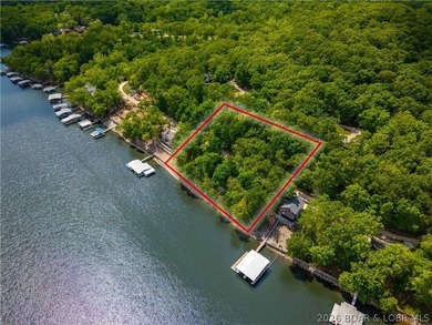 GREAT VIEW OF A LARGE COVE...(240 Lineal Feet) of lakefront - photo 3